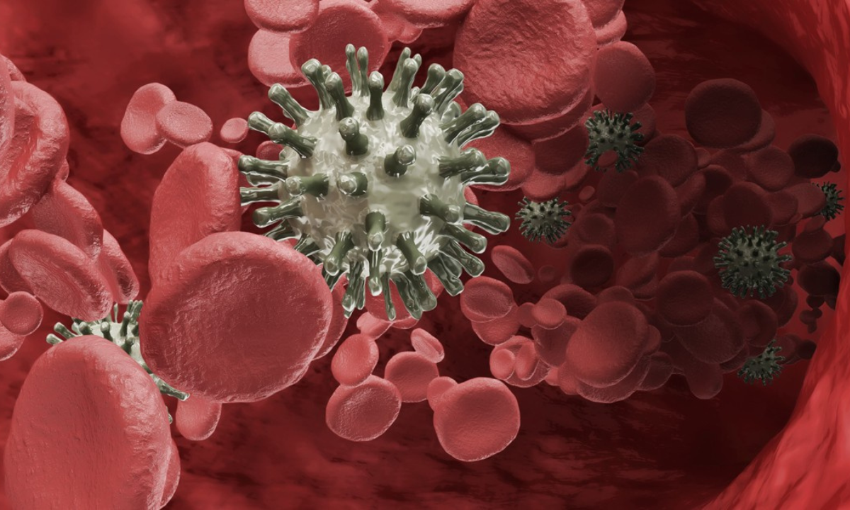 What is the Difference Between Leukemia, Lymphoma, and Myeloma